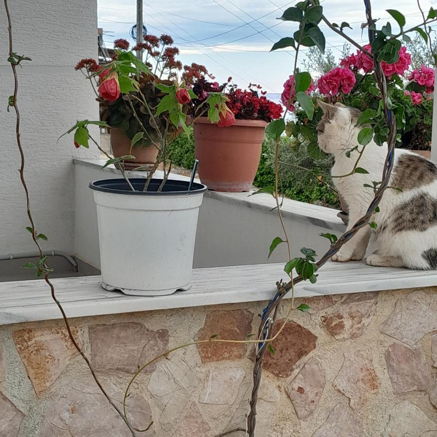Denni'S Home Sarandë 외부 사진
