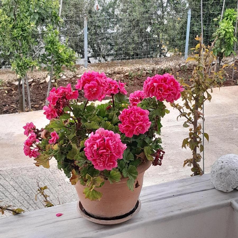 Denni'S Home Sarandë 외부 사진