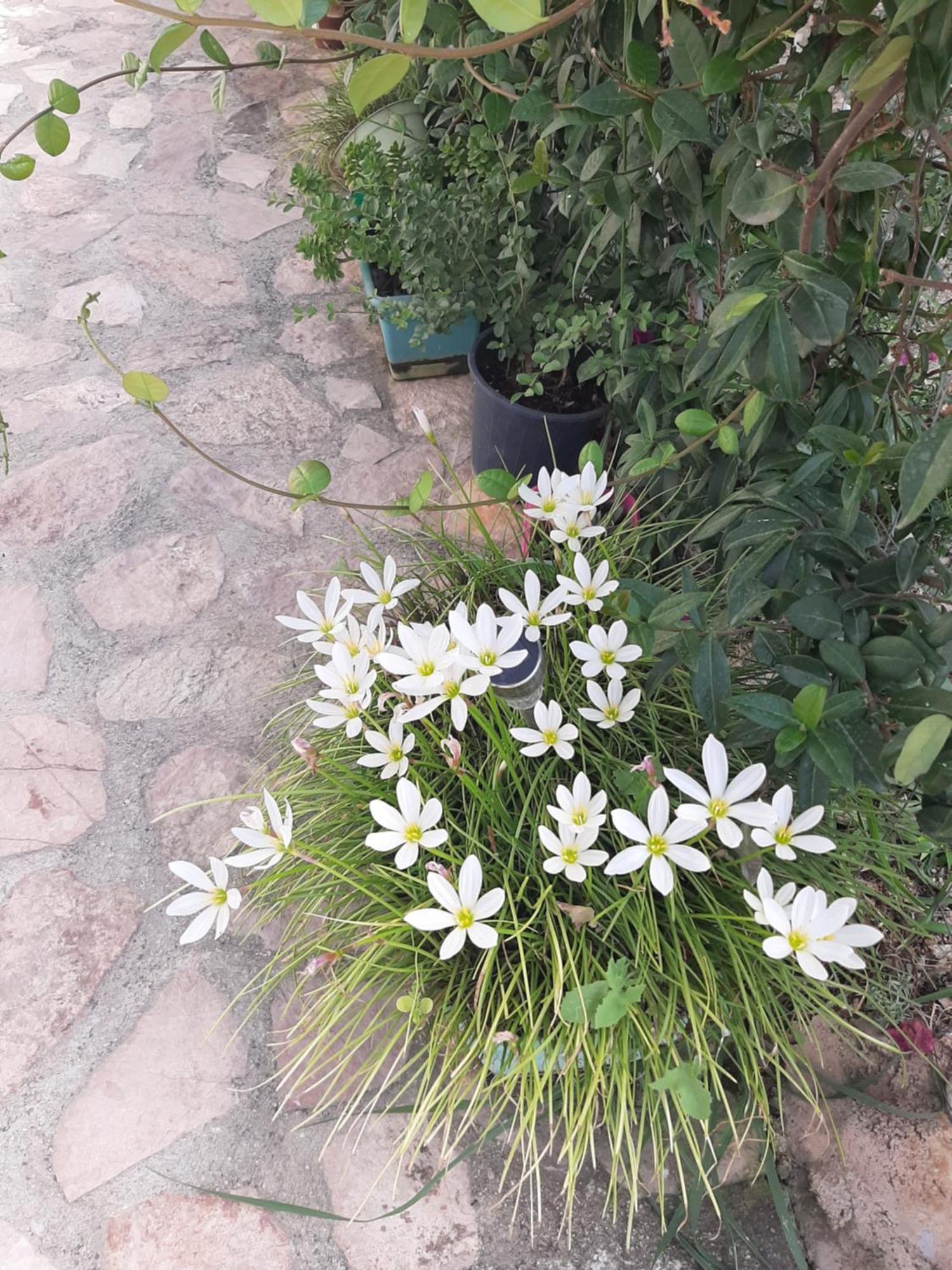 Denni'S Home Sarandë 외부 사진