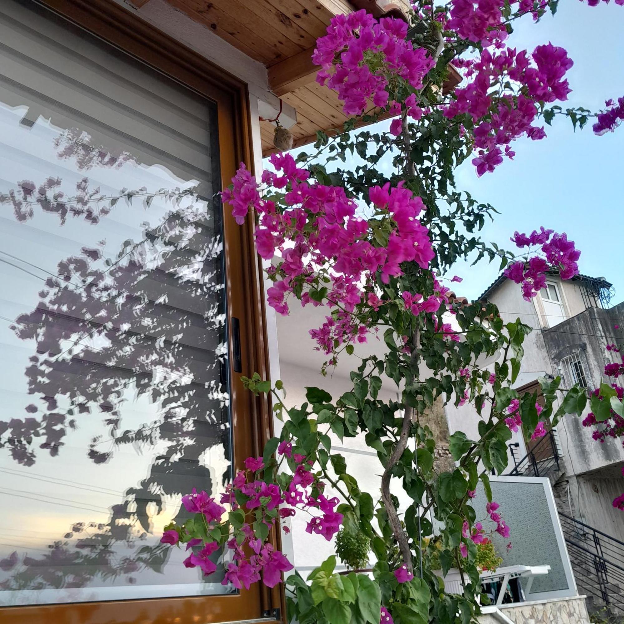Denni'S Home Sarandë 외부 사진