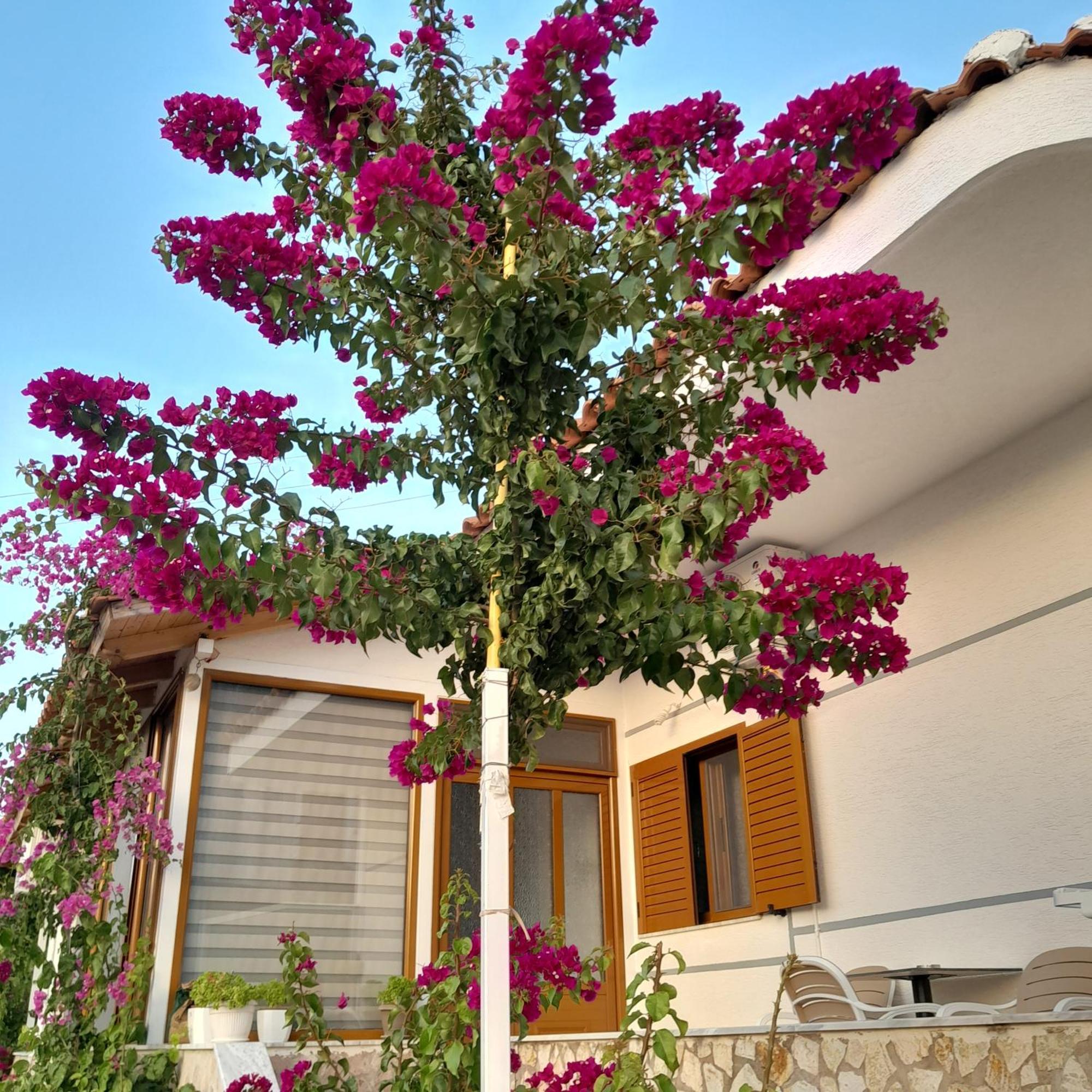 Denni'S Home Sarandë 외부 사진